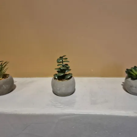 Apartment Rustico